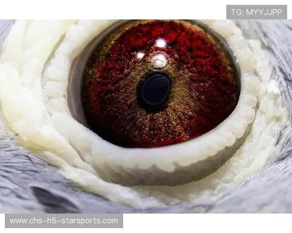 国家队训练风格微调：强化反击与高位压迫打法的实战解码